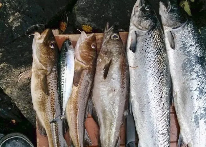 6 Person In Lonevag-by Traum Lonevåg